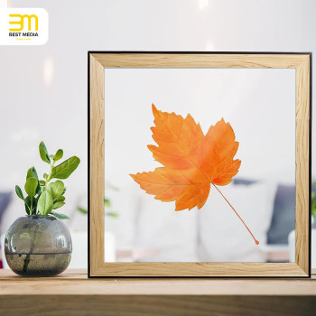 Clear Plastic Sheet Set, Panels for Picture Frames, Glass Replacement, Project Display and Painting Use, Flexible PET, 6 Pieces, 45.72 x 60.96 x 0.08 cm