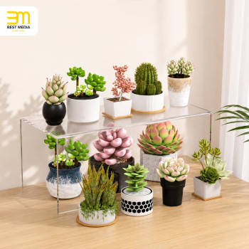 Acrylic Shelf Riser 30.5 x 14 x 12.7 cm pack of 2, Countertop Acrylic Display Storage Organizer for collectible figures Figure, Cosmetics, Bags, Shoes, Toys, Collectibles