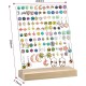 Clear Acrylic Earrings Holders with Wood Bases, 120 Holes (2 pack)(Classic Style)